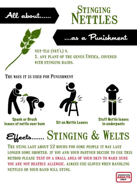 nettle torture|What Stinging Nettles Really Do To Your Body .